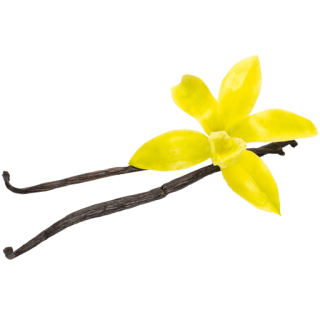 liegende Vanilleschoten mit Blüte