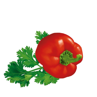 Paprika mit Petersilie