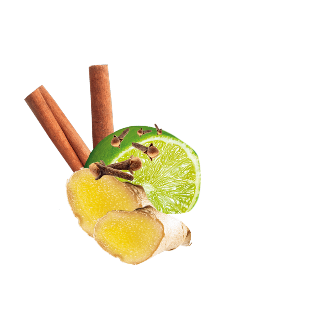 Limette, zimtstangen, Nelken und Ingwerscheiben