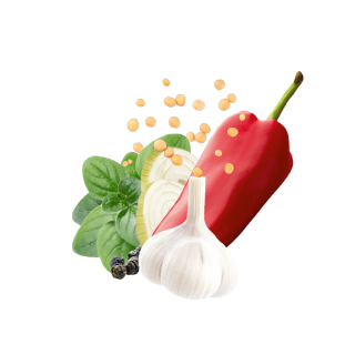 Fajitas Content Hr