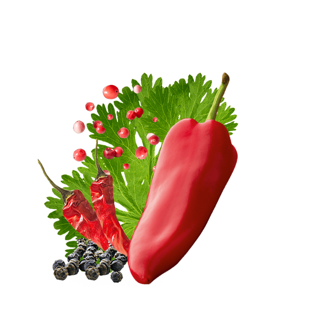 Multicolored Pepper Mix Content Si