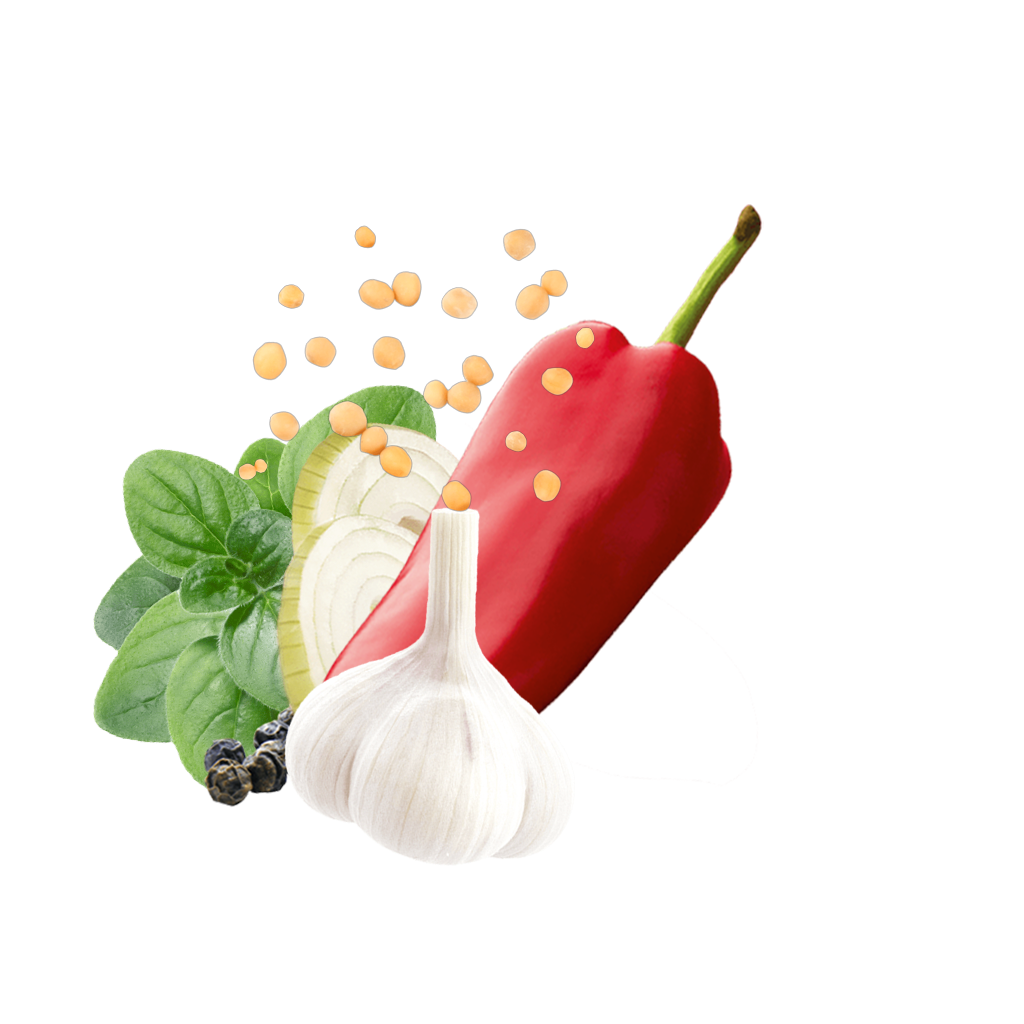 Fajita Začimbna Mešanica Contentimage