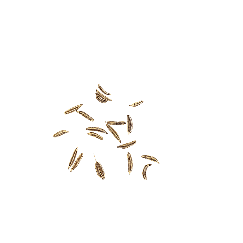 Cumin Contentimg Small