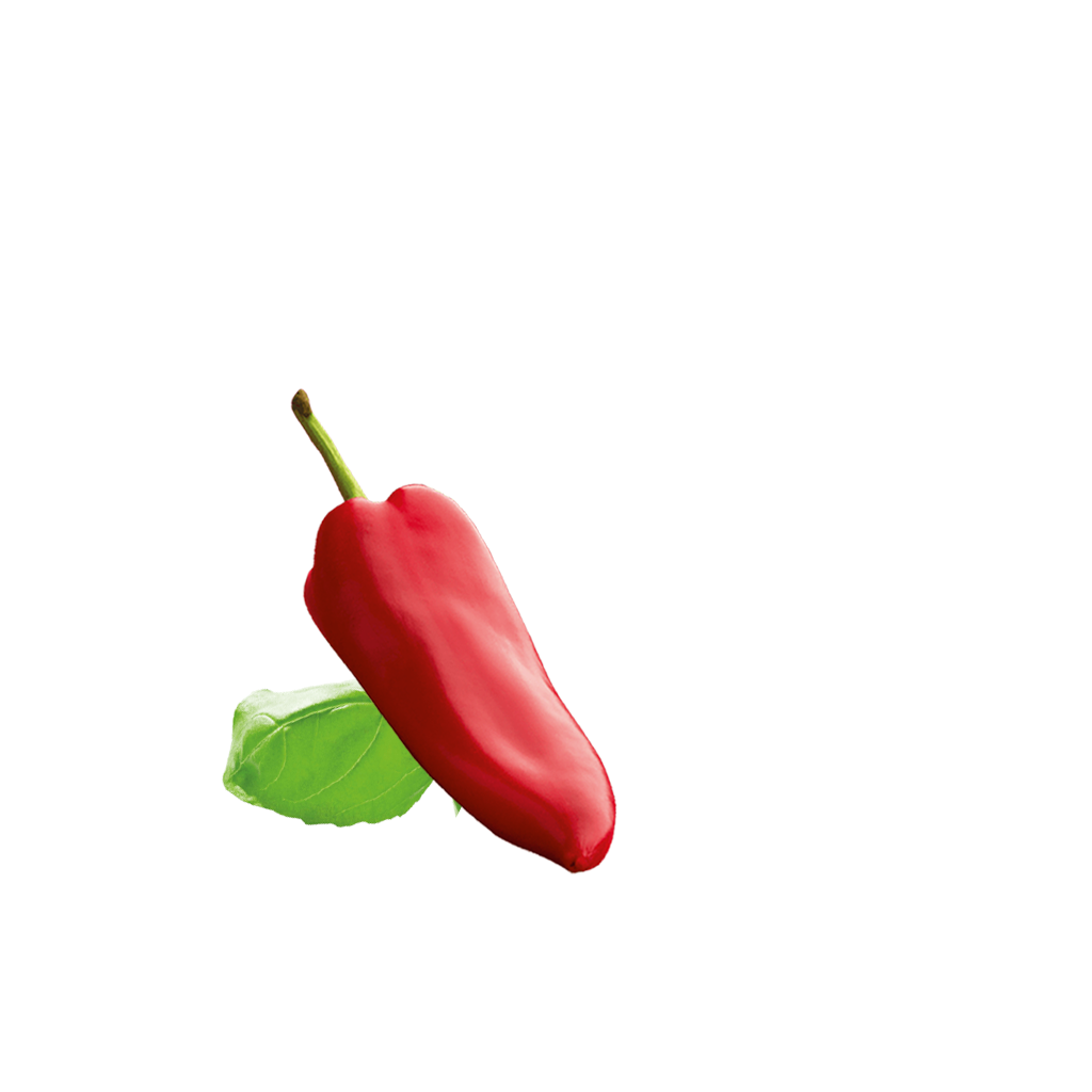 Paprika Content